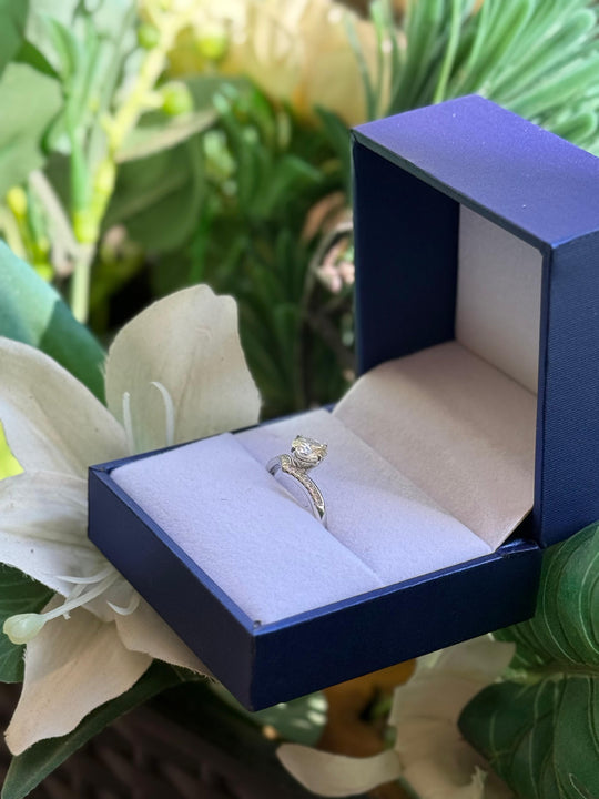 Anello in argento sterling 925 con corona da principessa e moissanite da 1 carato autoregolabile FANTASTICO